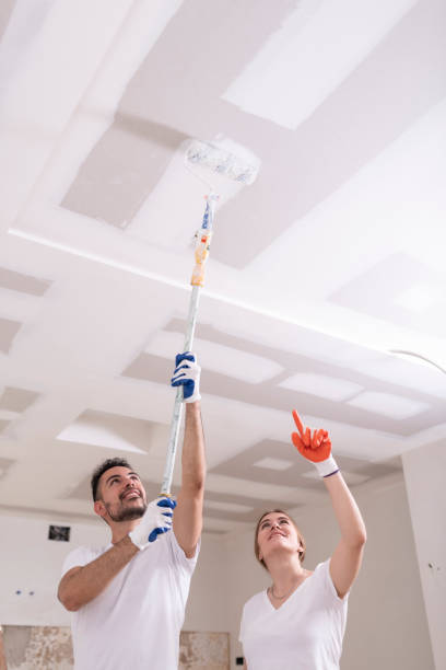 Best Dehumidification Services  in Aviston, IL